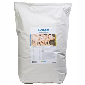 Grisett