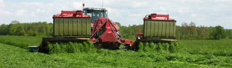 Traktor som slår vall som ska bli grovfoder.