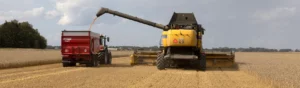 Tröska lämnar spannmål vid traktor på fält