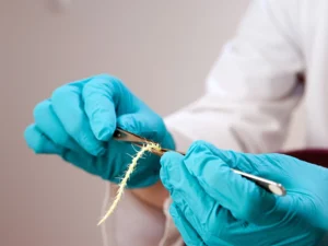 NGT-förädling i labb